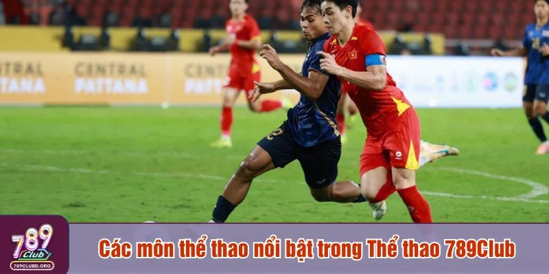 Bạn sẽ tìm thấy vô số lựa chọn đặt cược phù hợp