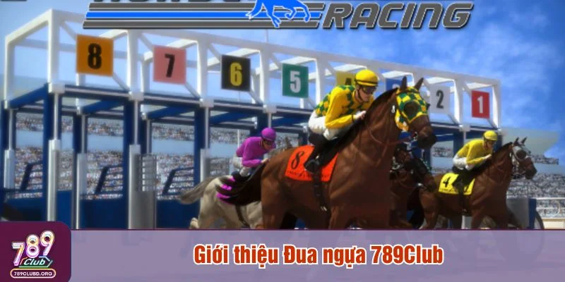 Đua ngựa 789Club mô phỏng cá cược đua ngựa trực tuyến